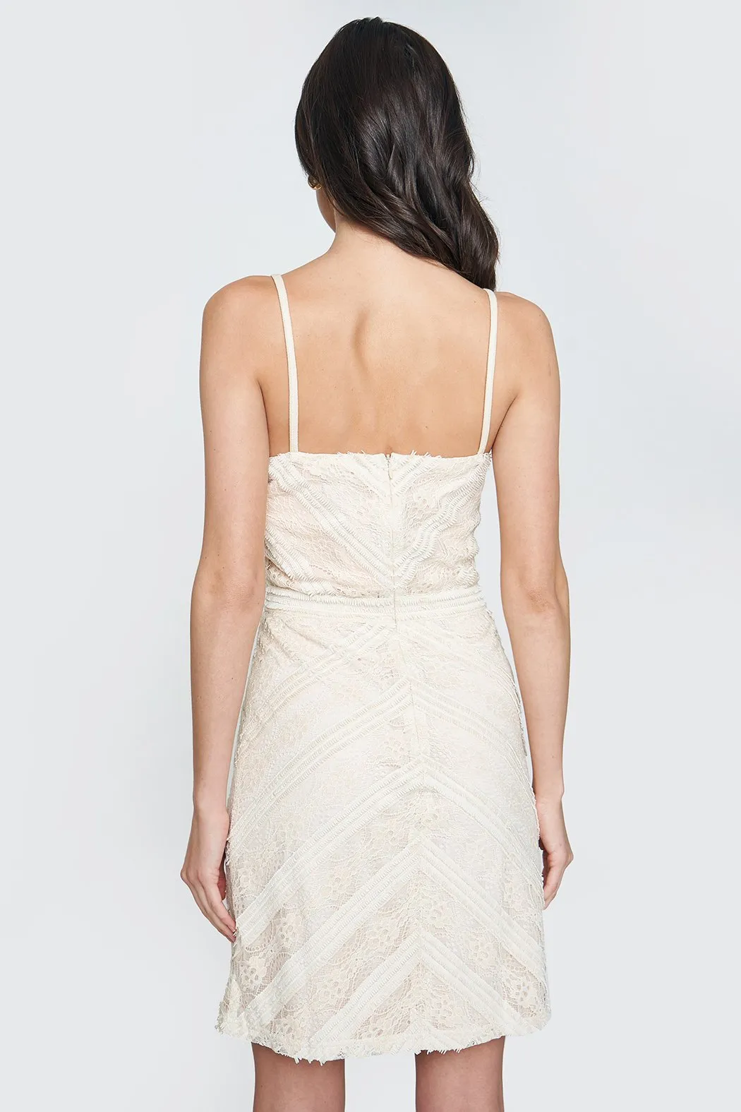 Abbi Lace Bodycon Dress