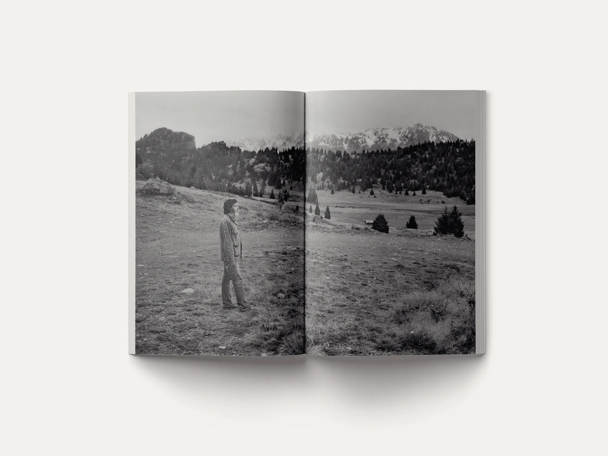 John Cage: A Mycological Foray
