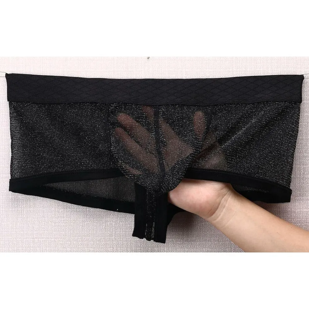 Men's Sexy Transparent Underwear / Ultra-Thin Low Waist Boxer Briefs / Male Mesh Panties