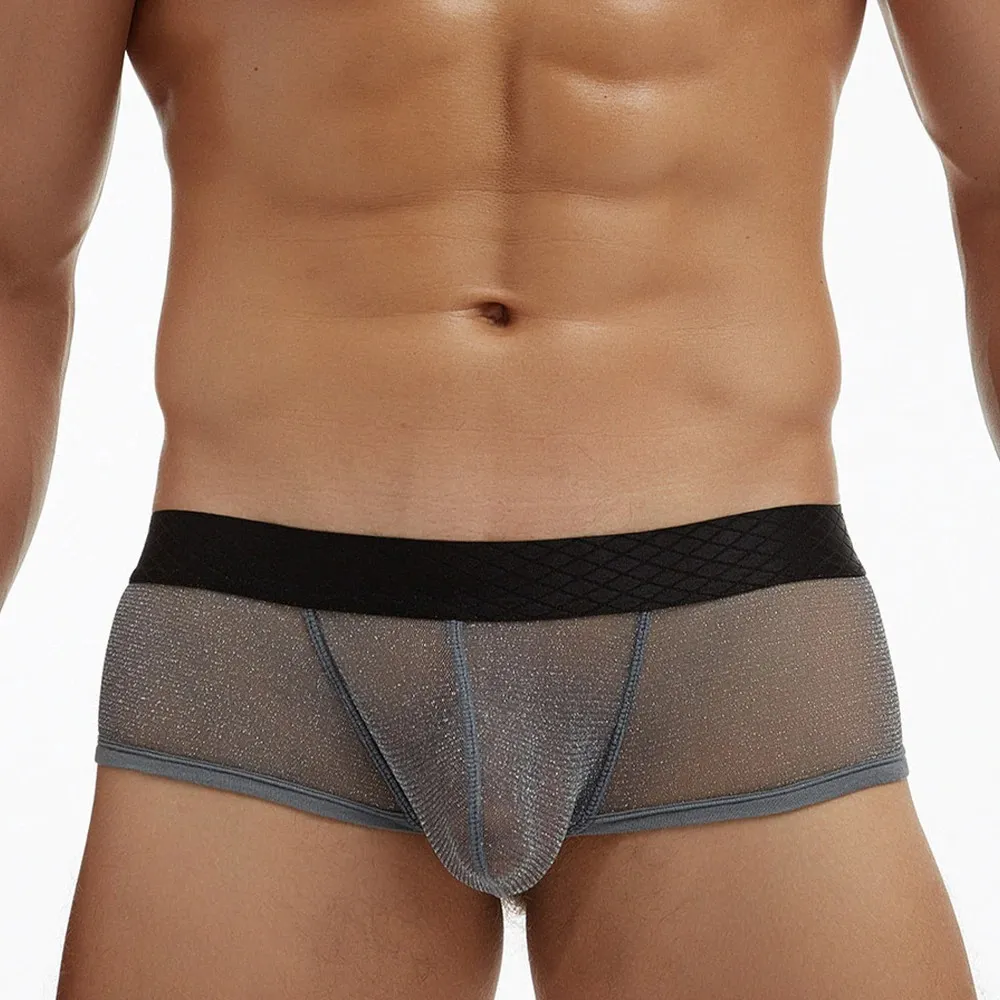 Men's Sexy Transparent Underwear / Ultra-Thin Low Waist Boxer Briefs / Male Mesh Panties