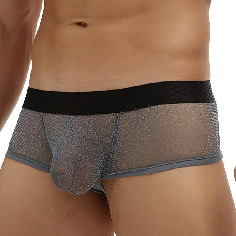 Men's Sexy Transparent Underwear / Ultra-Thin Low Waist Boxer Briefs / Male Mesh Panties