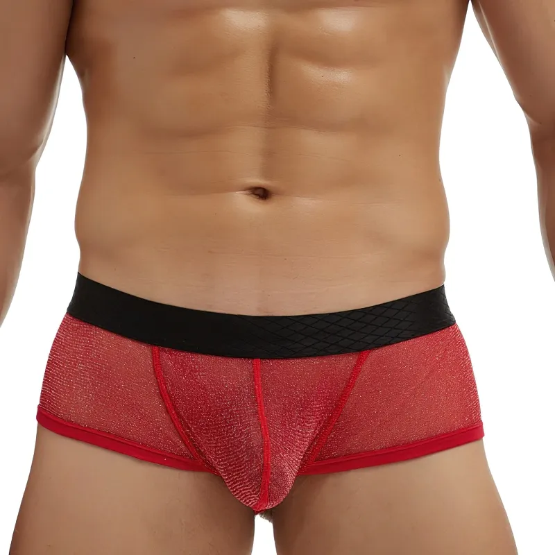 Men's Sexy Transparent Underwear / Ultra-Thin Low Waist Boxer Briefs / Male Mesh Panties