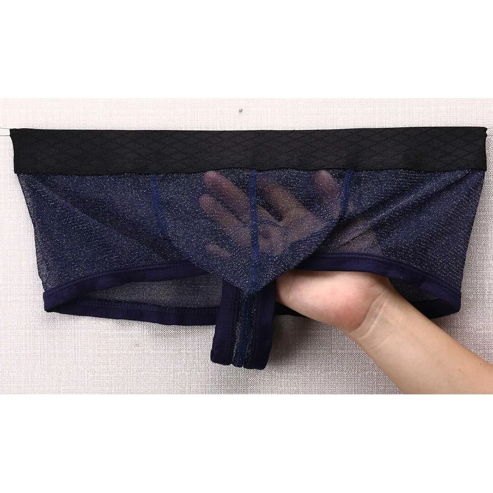 Men's Sexy Transparent Underwear / Ultra-Thin Low Waist Boxer Briefs / Male Mesh Panties